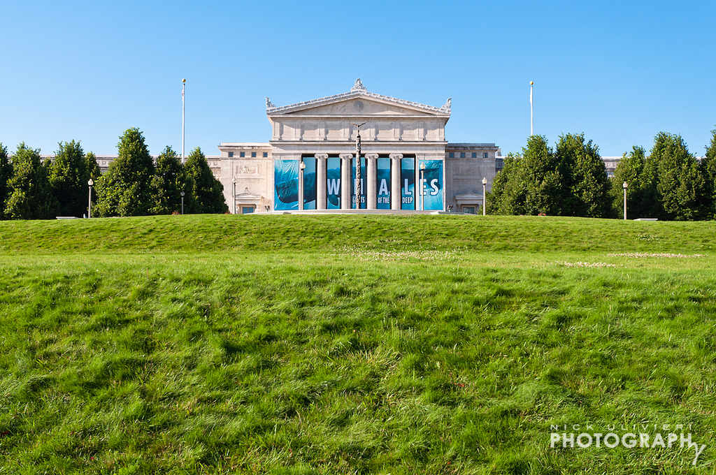 The Field Museum entrance as seen from the bottom of the tiered lawn