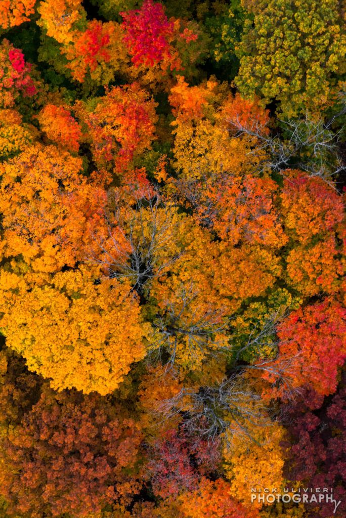 Aerials above autumn