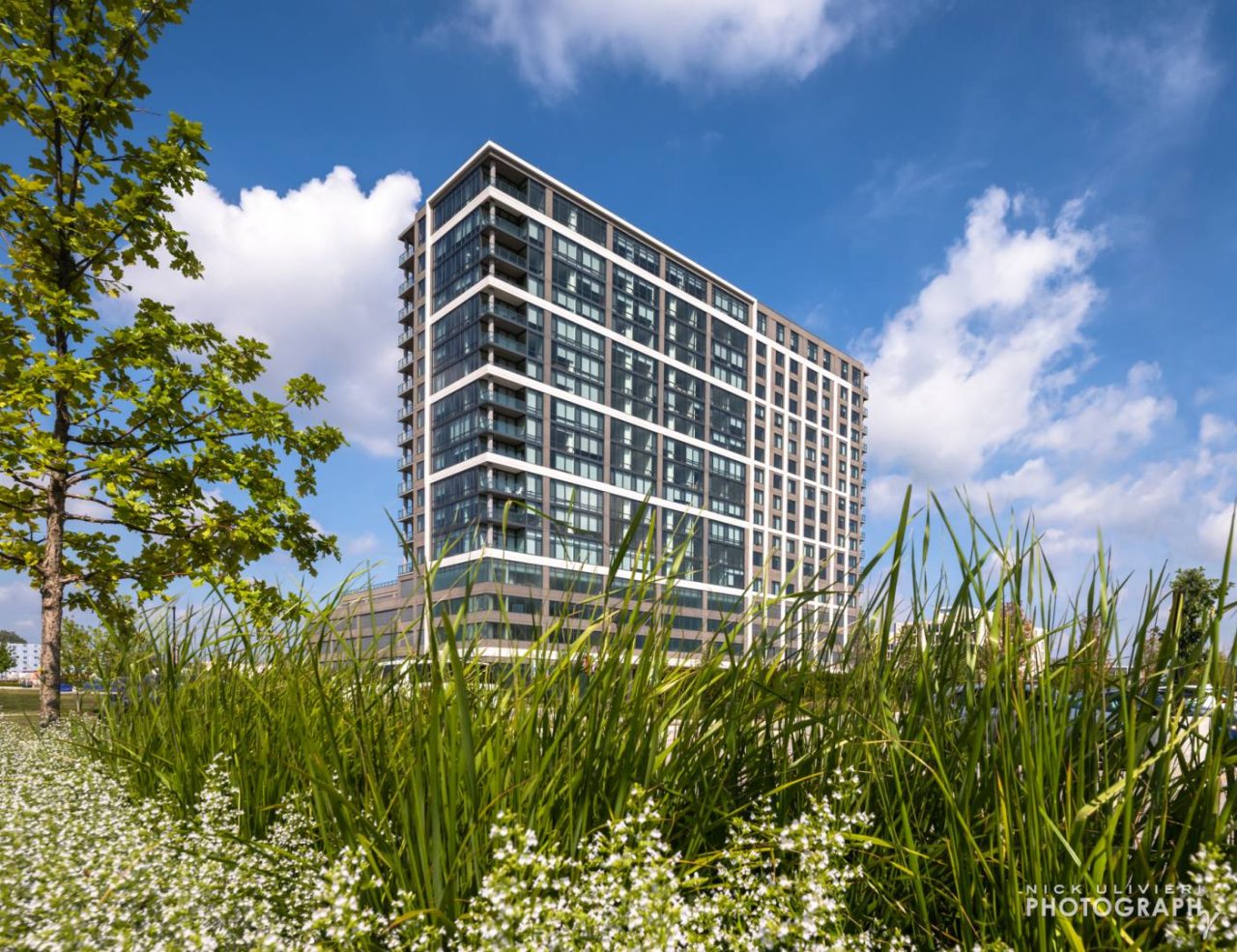 Oak Brook Commons for Antunovich Associates