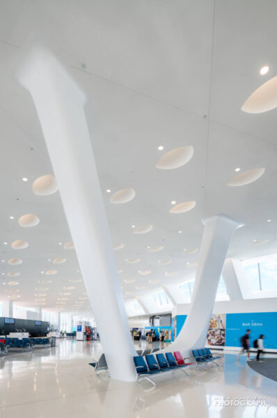 Terminal 5's inclined columns