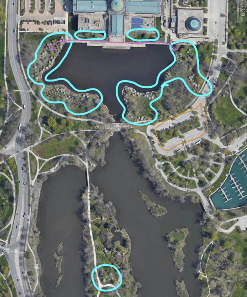 A map of Jackson Park and the cherry blossom locations (teal outline)